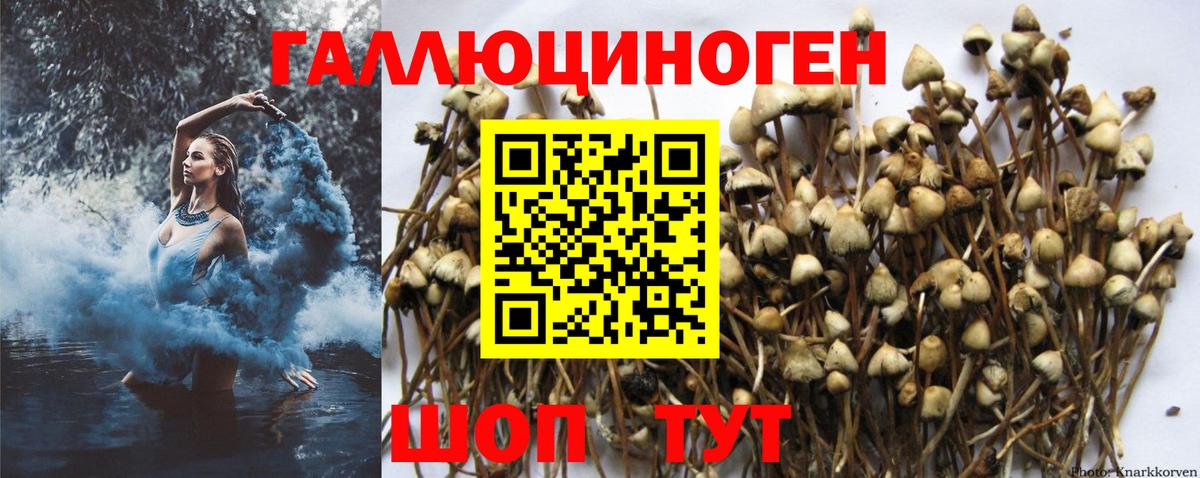 Псилоцибиновые грибы прущие грибы Альметьевск